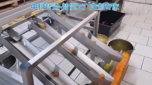 自动化蛋清分离机 竹制品加工行业的省人降本与提效保质新利器