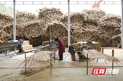 小竹子撬动大产业 竹制品加工的绿色经济之路